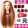 Tête mannequin - Ref 268016