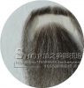 Tête mannequin - Ref 282431