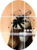 Tête mannequin - Ref 282729