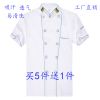 Uniforme de cuisinier en coton - Ref 1909710