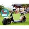 Scooter électrique 60V 18 pouces - Ref 2386251