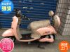 scooter électrique 48V 14 pouces - Ref 2386467