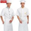 Vêtement pour cuisinier en polyester - Ref 1908600