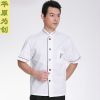 Vêtement pour cuisinier en polyester - Ref 1908604