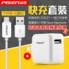 chargeur PISEN - Ref 1299785