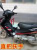 siège enfants pour vélo - Ref 2415092
