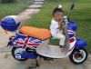 siège enfants pour vélo - Ref 2415714