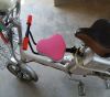 siège enfants pour vélo - Ref 2425431