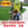 siège enfants pour vélo - Ref 2425446