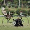 siège enfants pour vélo - Ref 2437880