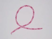 Accessoire cheveux - Ref 1204838