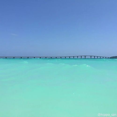 Accessoire cheveux - Ref 1205006