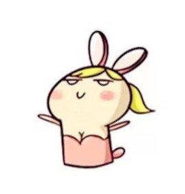 Accessoire cheveux - Ref 1205071