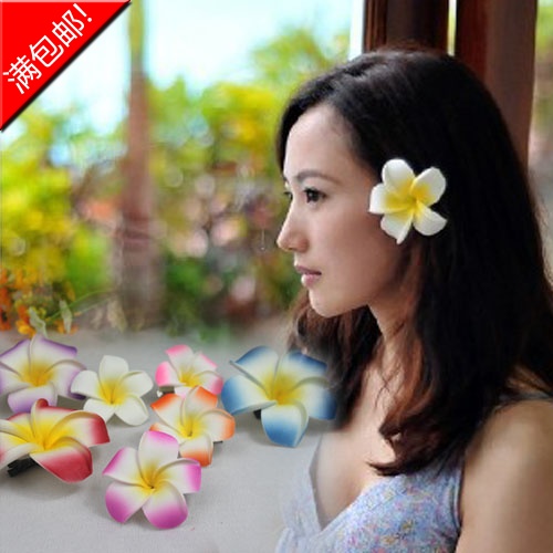 Accessoire cheveux - Ref 1205632