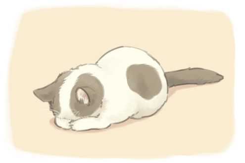 Accessoire coiffure - Ref 1204986