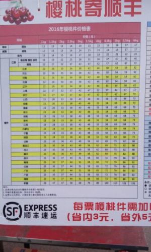 Accessoire coiffure - Ref 1205456