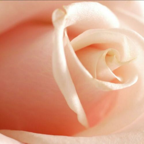 Affiche murale géante moderne chinois - papier peint en soie Ref 2456285