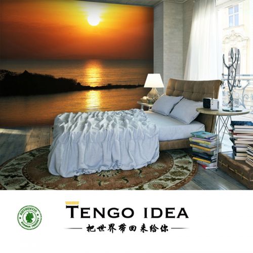 Affiche murale géante TENGO IDEA continental - Ref 2457997