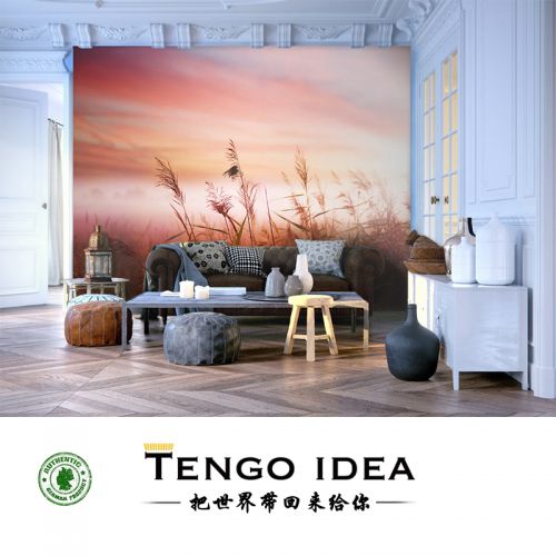 Affiche murale géante TENGO IDEA campagne - Ref 2457998