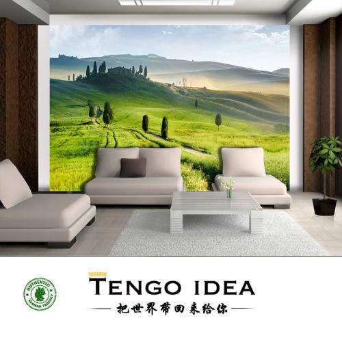 Affiche murale géante TENGO IDEA continental - Ref 2458000