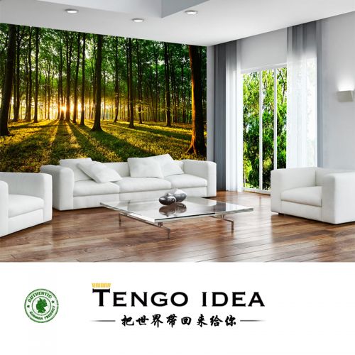 Affiche murale géante TENGO IDEA continental - Ref 2458004
