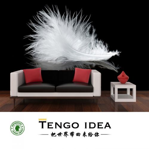 Affiche murale géante TENGO IDEA continental - Ref 2458010