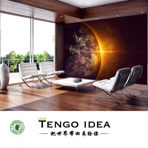 Affiche murale géante TENGO IDEA continental - Ref 2458022