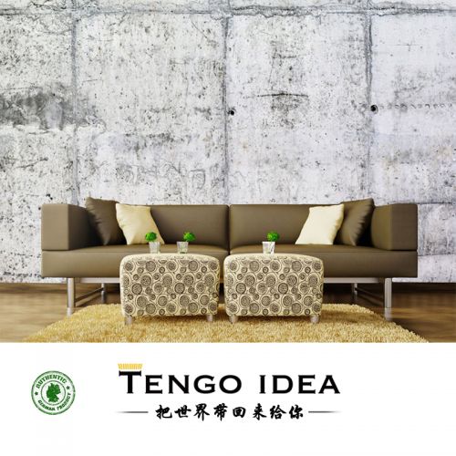 Affiche murale géante TENGO IDEA continental - Ref 2458023