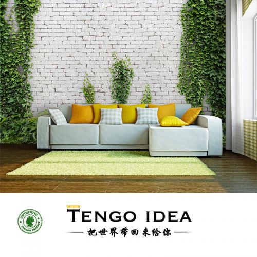 Affiche murale géante TENGO IDEA continental - Ref 2458026