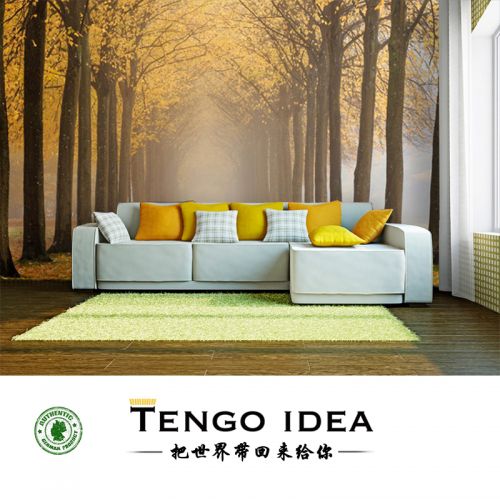 Affiche murale géante TENGO IDEA continental - Ref 2458028