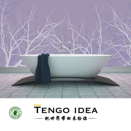 Affiche murale géante TENGO IDEA continental - Ref 2458030