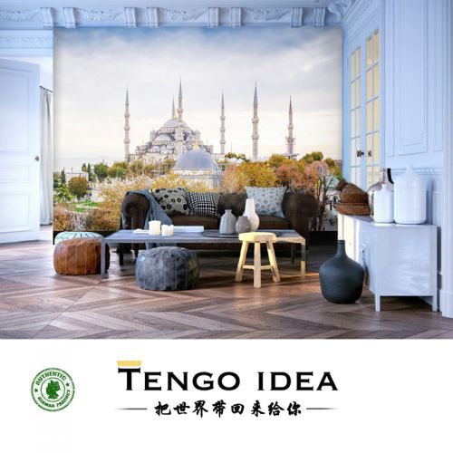 Affiche murale géante TENGO IDEA continental - Ref 2458037