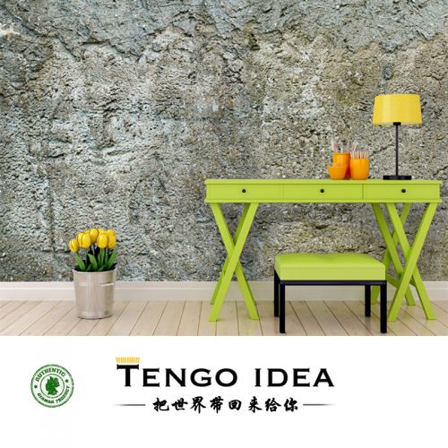 Affiche murale géante TENGO IDEA continental - Ref 2458794