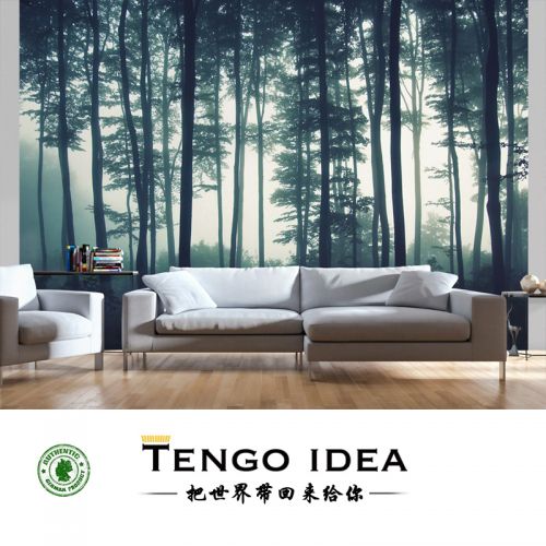 Affiche murale géante TENGO IDEA continental - Ref 2458798