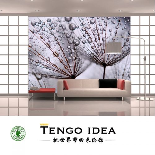 Affiche murale géante TENGO IDEA campagne - Ref 2459051