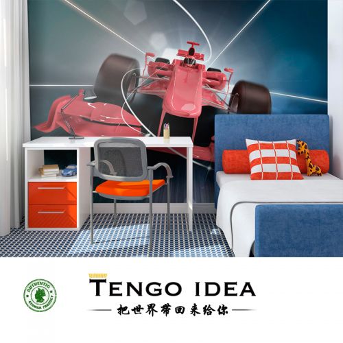 Affiche murale géante TENGO IDEA continental - Ref 2459054