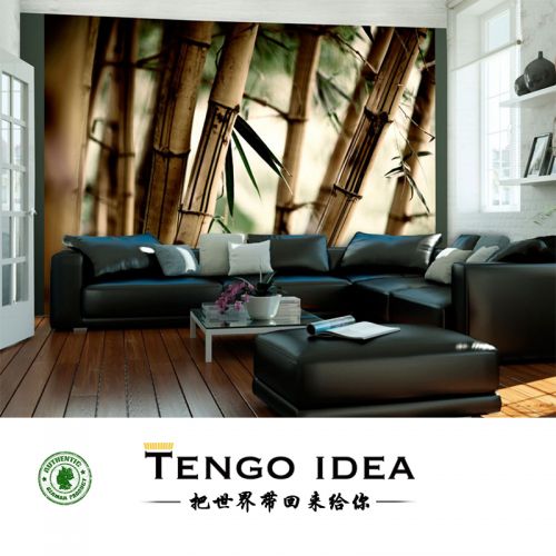 Affiche murale géante TENGO IDEA continental - Ref 2459058