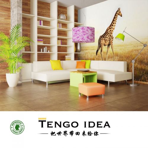 Affiche murale géante TENGO IDEA continental - Ref 2459072