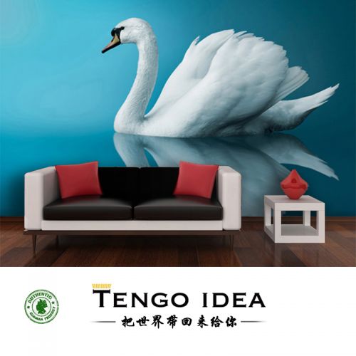 Affiche murale géante TENGO IDEA continental - Ref 2459076