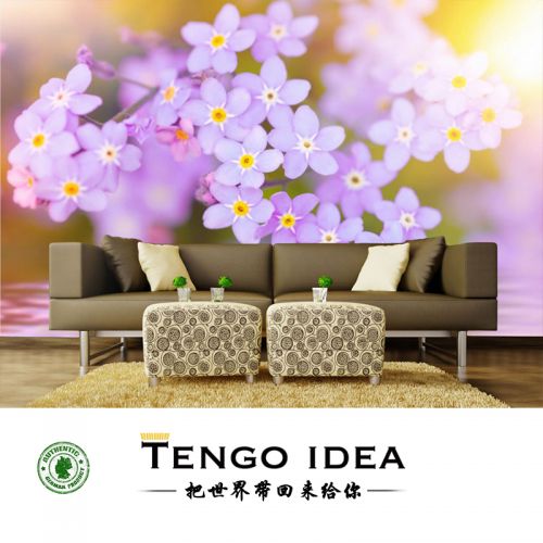 Affiche murale géante TENGO IDEA continental - Ref 2459083