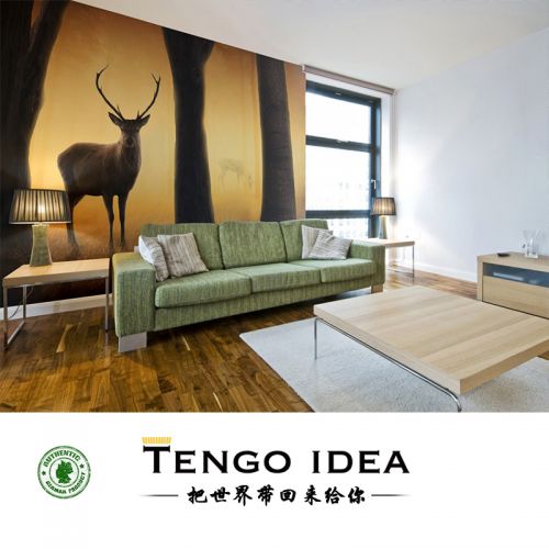 Affiche murale géante TENGO IDEA continental - Ref 2459084