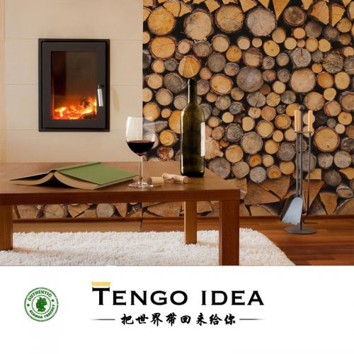 Affiche murale géante TENGO IDEA continental - Ref 2459094