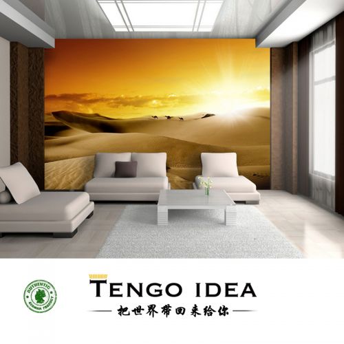 Affiche murale géante TENGO IDEA continental - Ref 2459104
