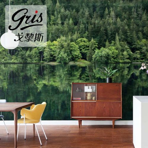 Affiche murale géante GRIS Europe du Nord - Ref 2459505