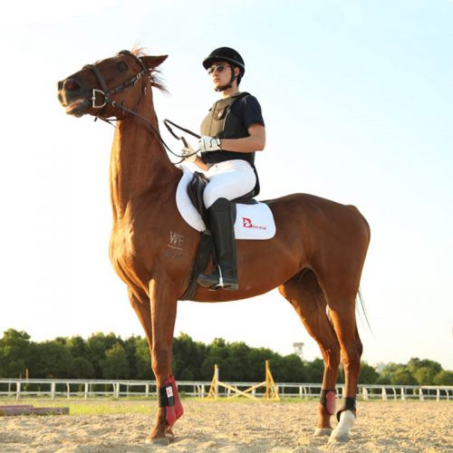 Article equitation 1381028