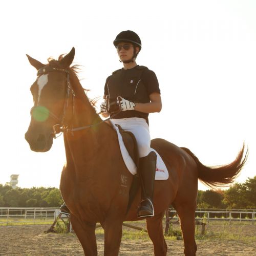 Article equitation 1381702