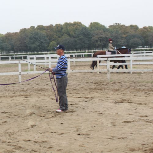 Article équitation pour homme, femme, enfant - Ref 1383102