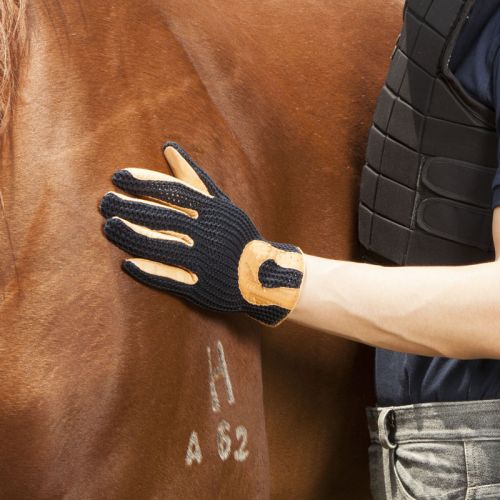 Article sports equestres - Ref 1384024