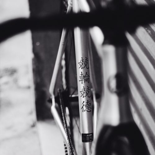 Autocollant pour vélo READU - Ref 2282644