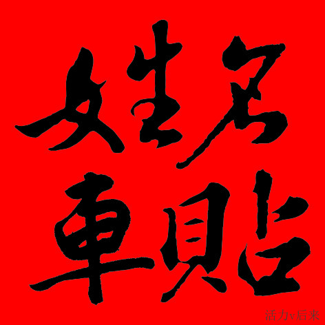 Autocollant pour vélo - Ref 2285866